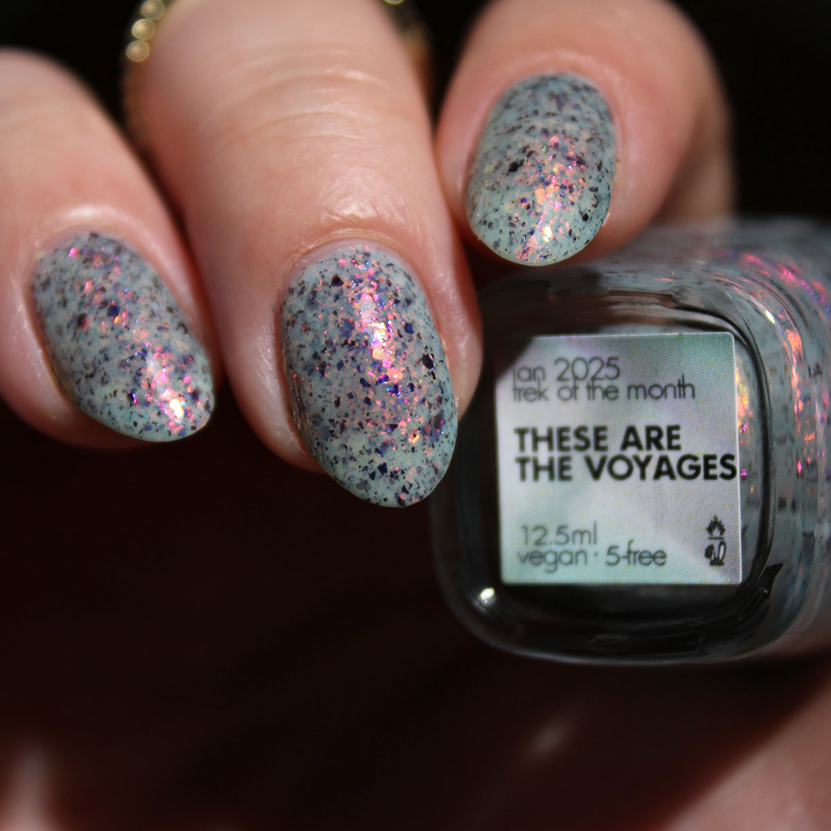 these are the voyages - Jen & Berries nail polish