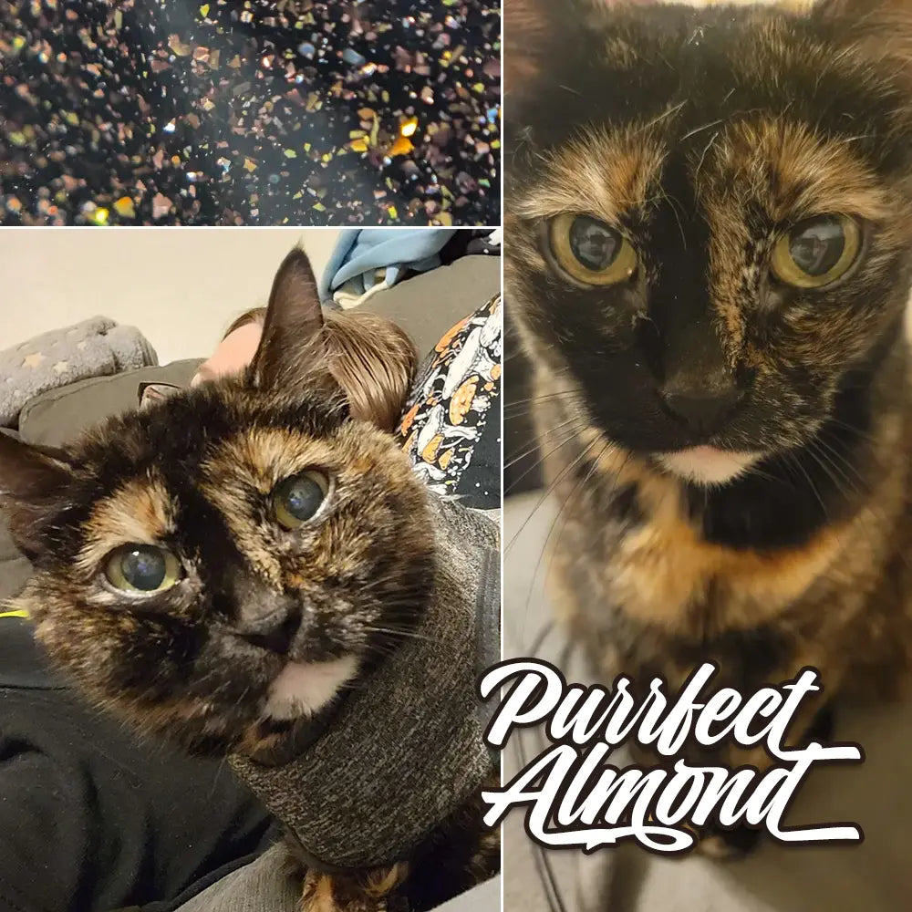 purrfect almond - Jen & Berries nail polish