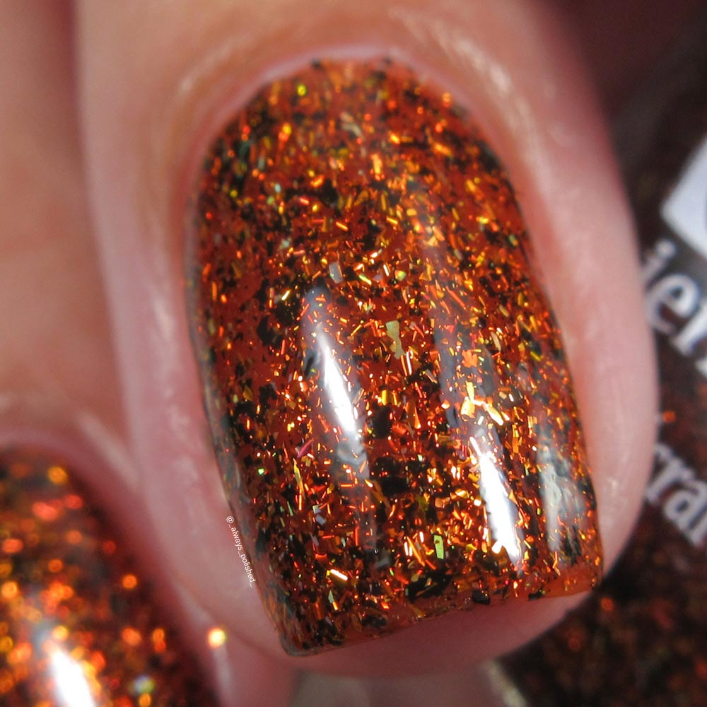 how the hell'd i get knocked up?