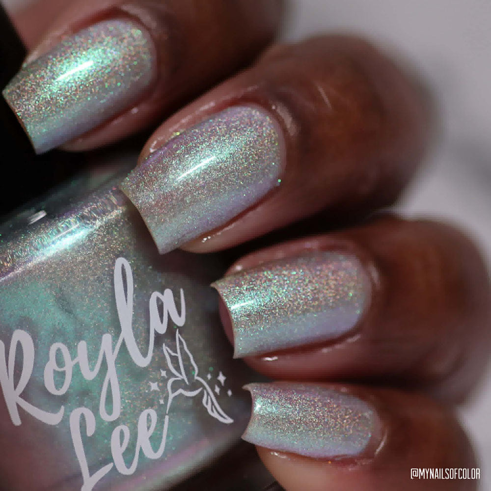 schitty polish box aug '26