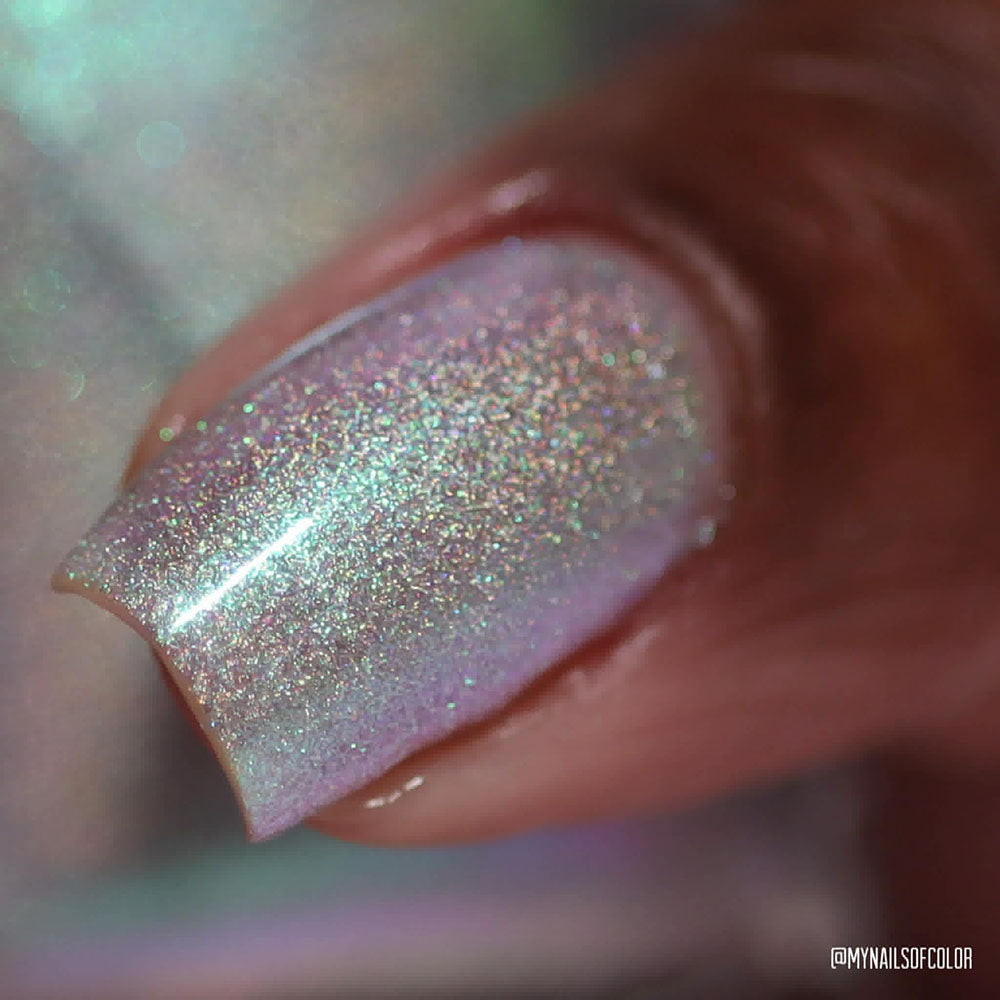 schitty polish box aug '26