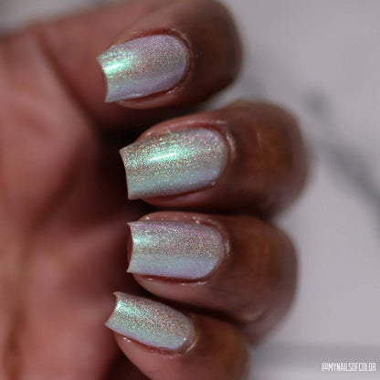 schitty polish box aug '26
