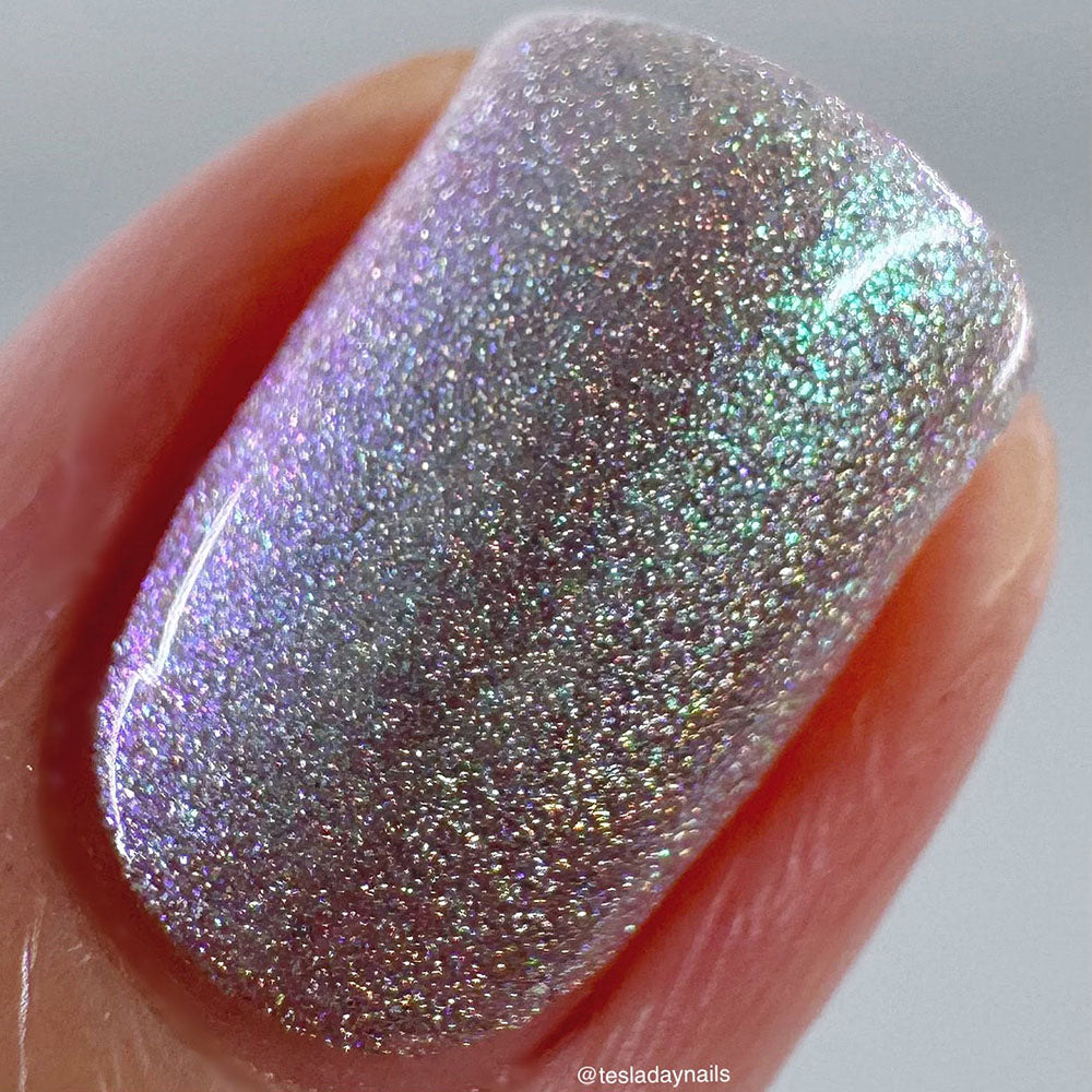 schitty polish box aug '26