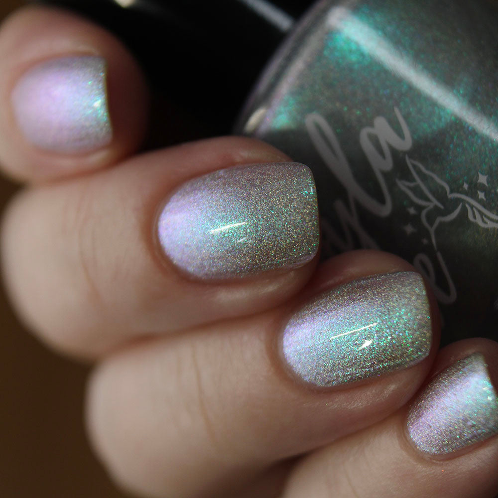 schitty polish box aug '26