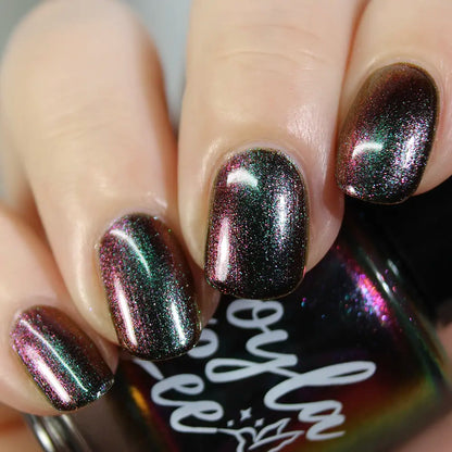 schitty polish box may '26