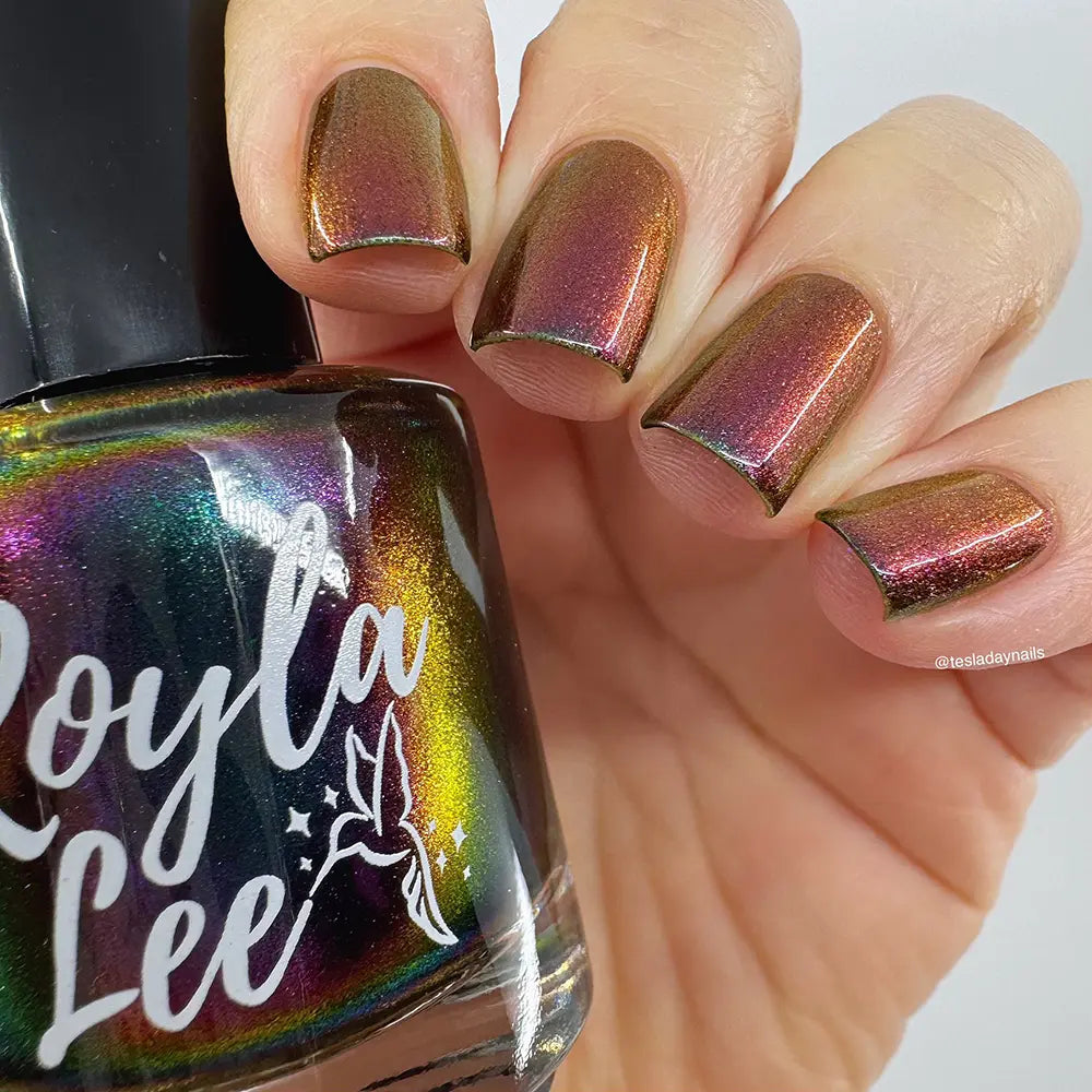 schitty polish box may '26