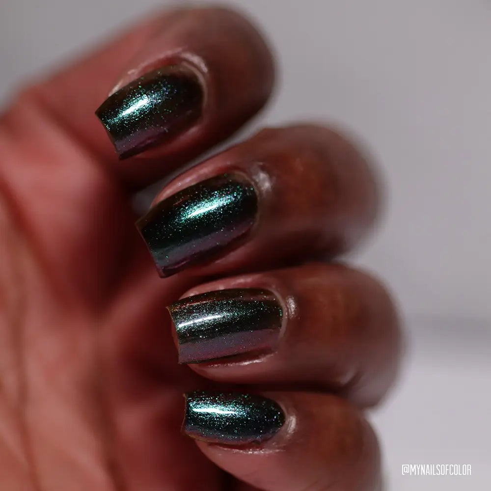 schitty polish box may '26