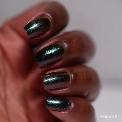 schitty polish box may '26