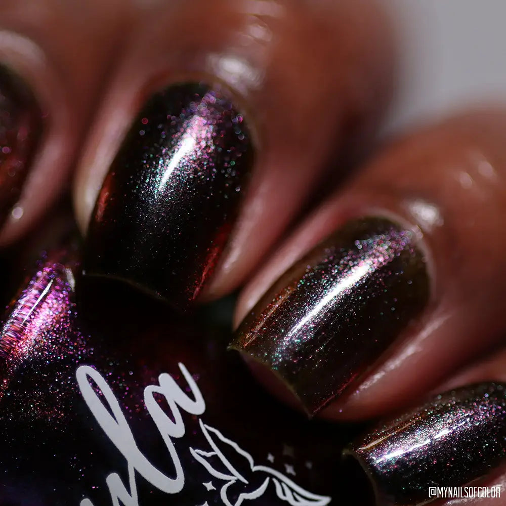 schitty polish box may '26
