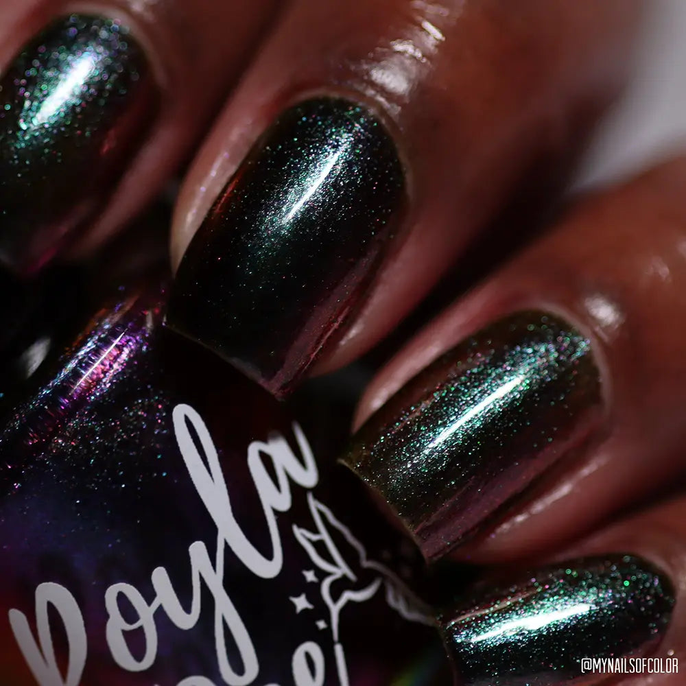 schitty polish box may '26