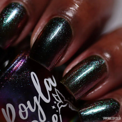 schitty polish box may '26