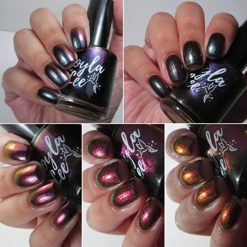 schitty polish box may '26