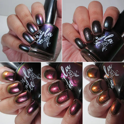 schitty polish box may '26