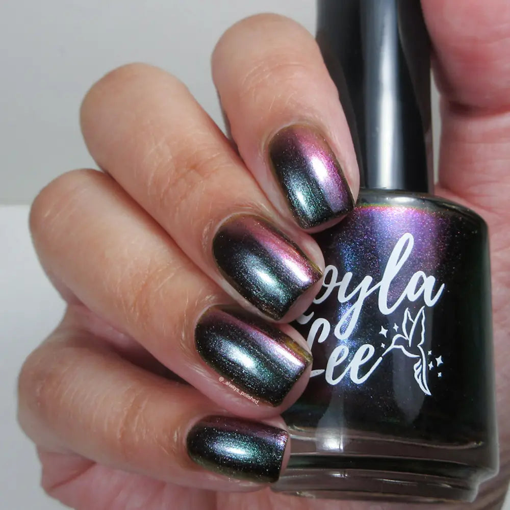 schitty polish box may '26