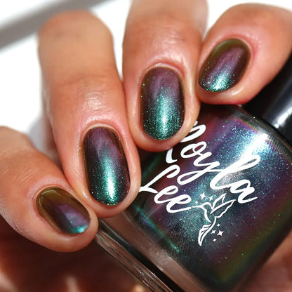 schitty polish box may '26