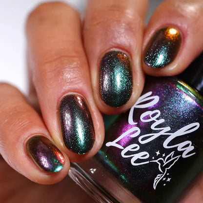 schitty polish box may '26