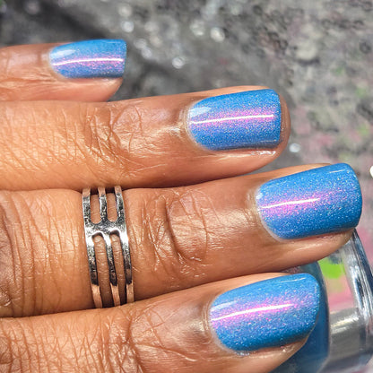 shut up wesley