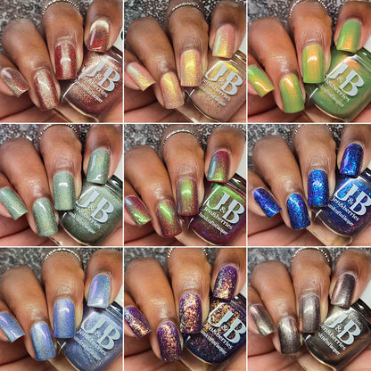 lord of the rings collection