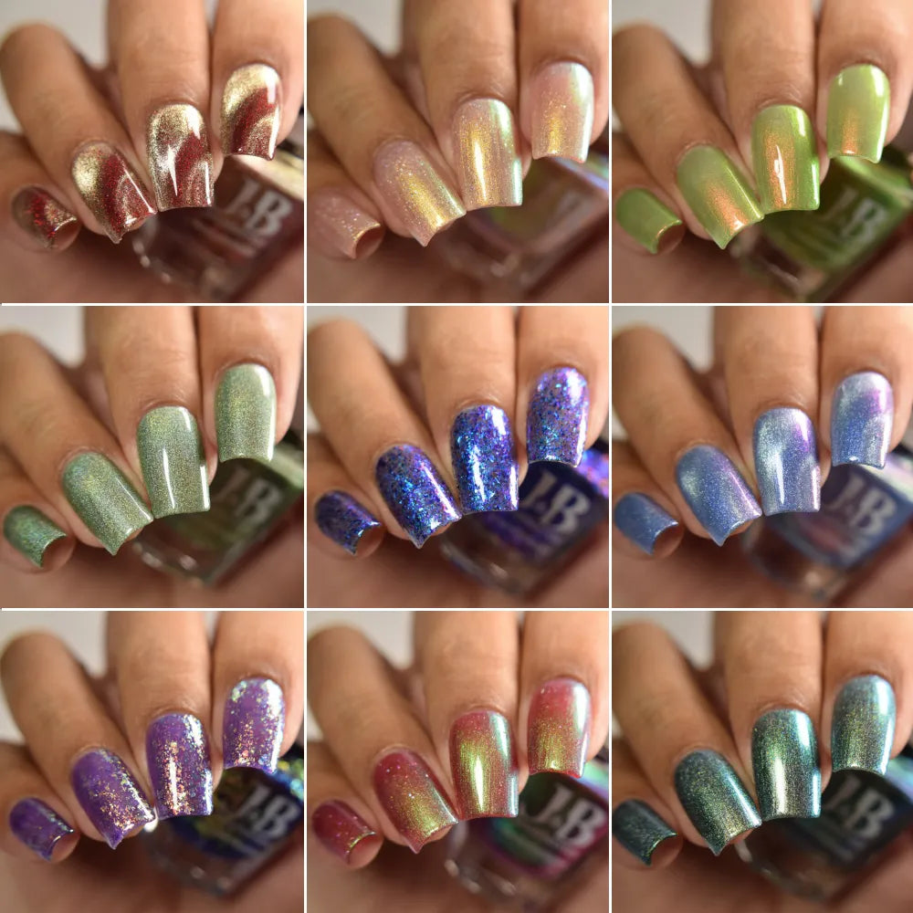 lord of the rings collection