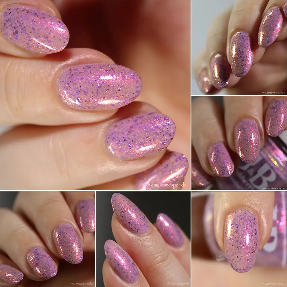 schitty polish collab