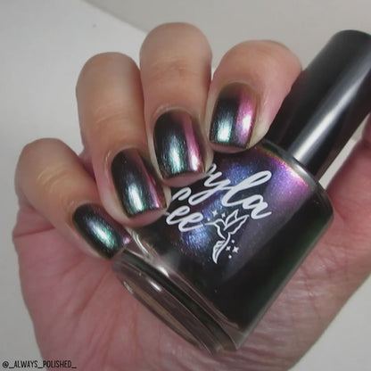 schitty polish box may '26