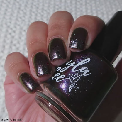schitty polish box may '26