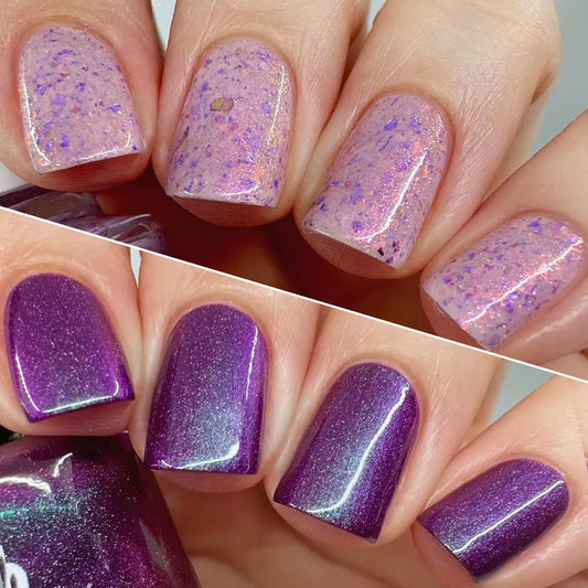 schitty polish collab