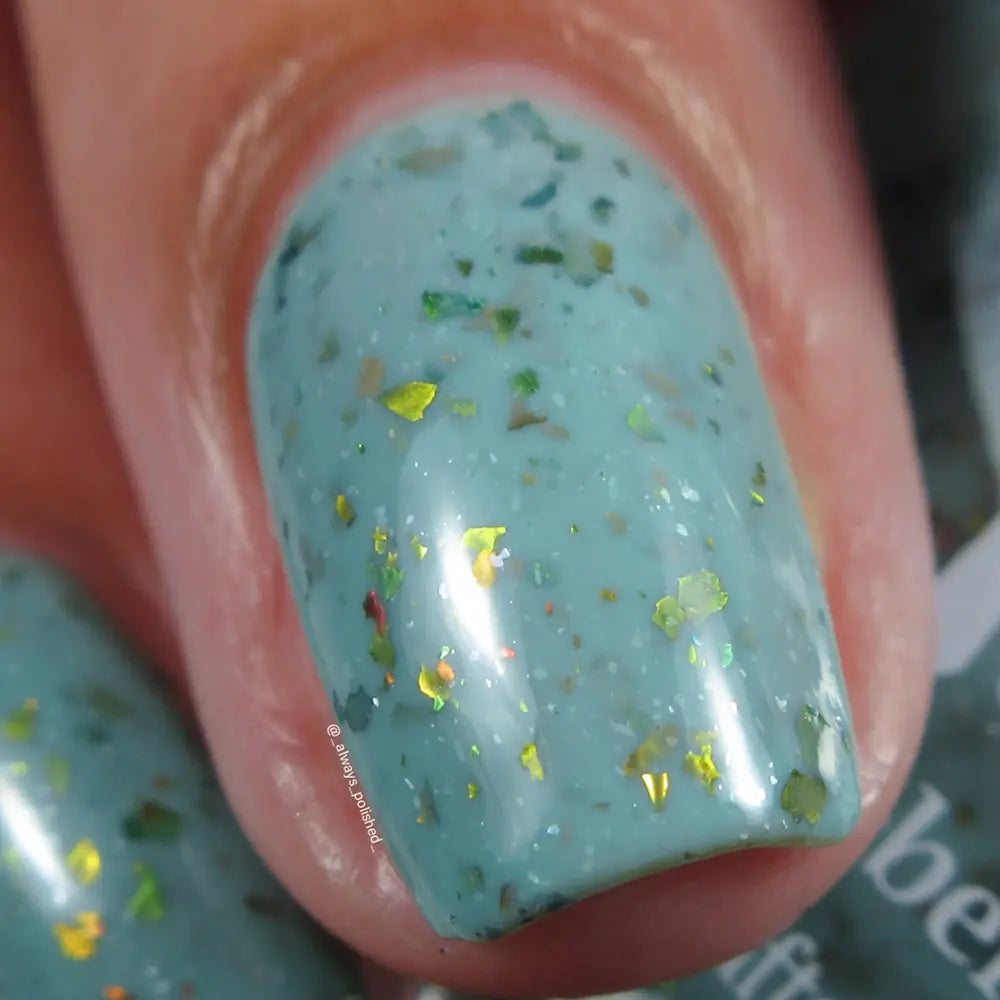 schitty polish box oct '26