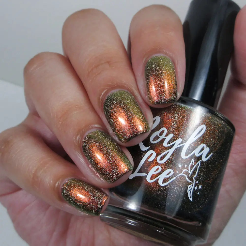 schitty polish box oct '26
