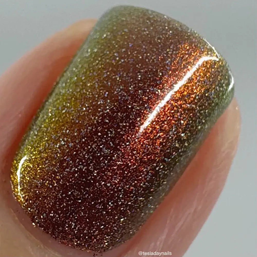 schitty polish box oct '26