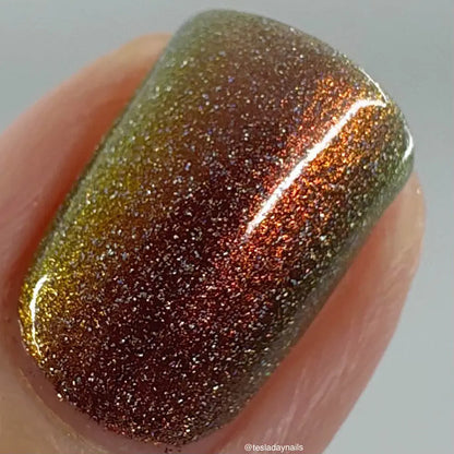 schitty polish box oct '26