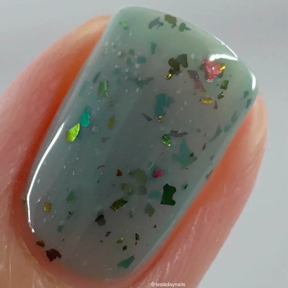 schitty polish box oct '26
