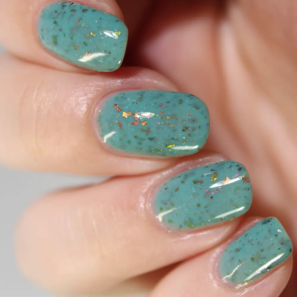 schitty polish box oct '26